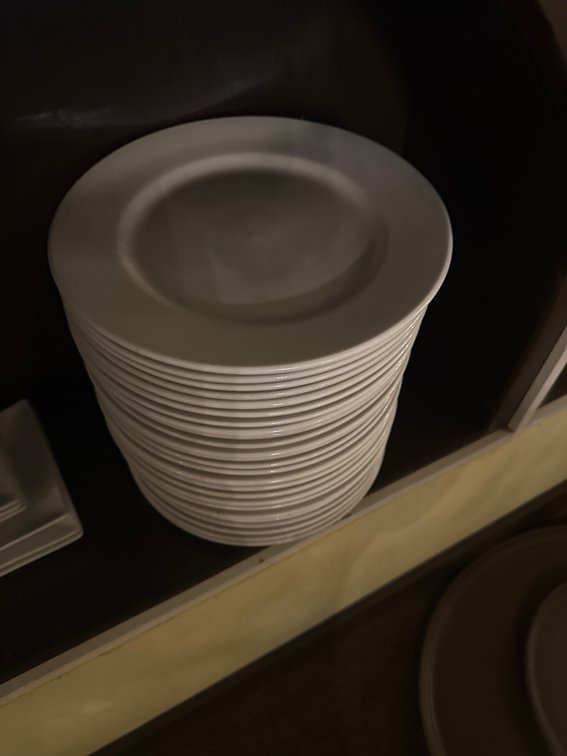 (24) Round Dinner Plates 12inch
