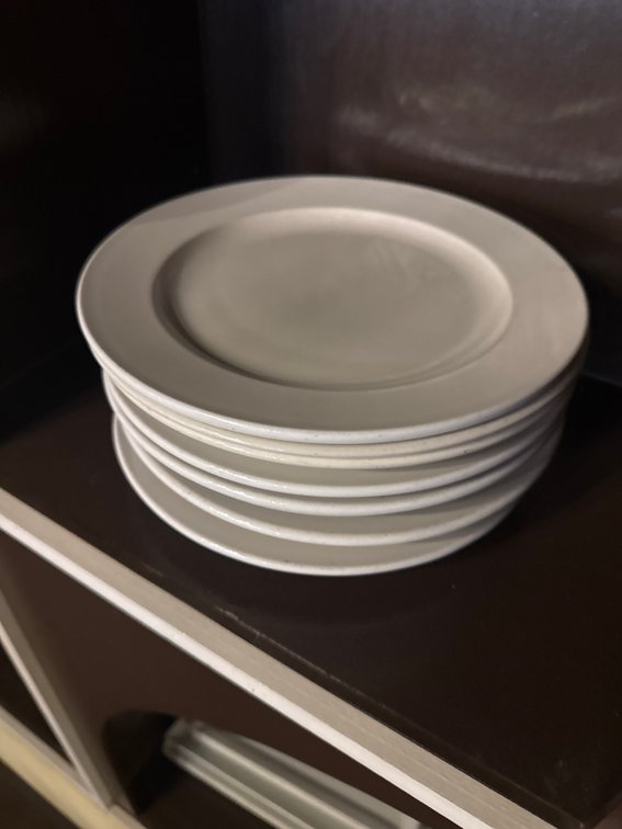 (9) 10 inch Dinner Plates