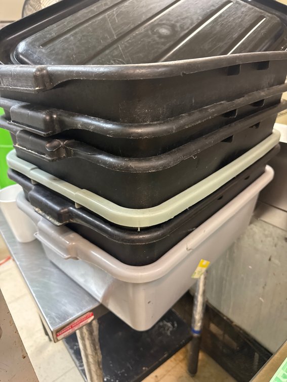 (6) Buss Tubs