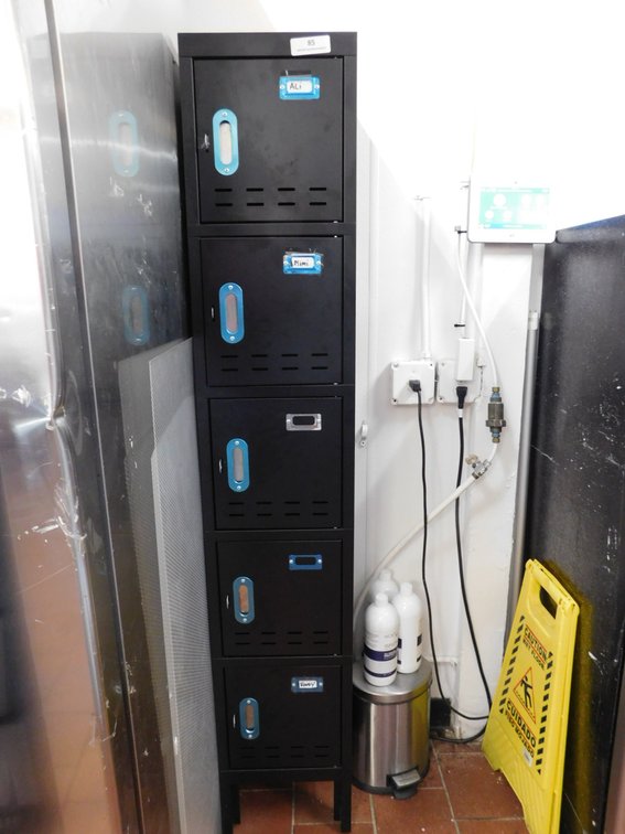5 Cubby Employee Locker