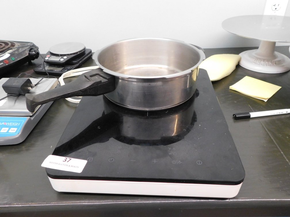 Household Induction Hot Plate w/ Pot