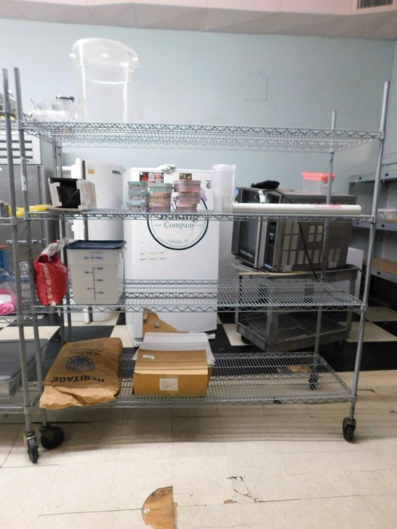 Gray Epoxy Wire Shelving Unit 