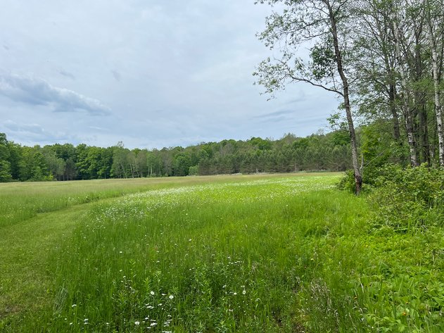 Image for Armstrong CreeK,  WI ** Home & 112 Acres Sold $453,200