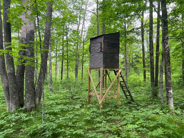 Image for Armstrong CreeK,  WI ** Home & 112 Acres Sold $453,200