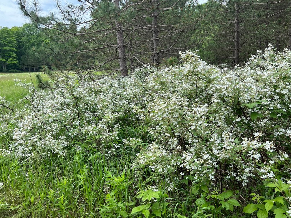 Image for Armstrong CreeK,  WI ** Home & 112 Acres Sold $453,200