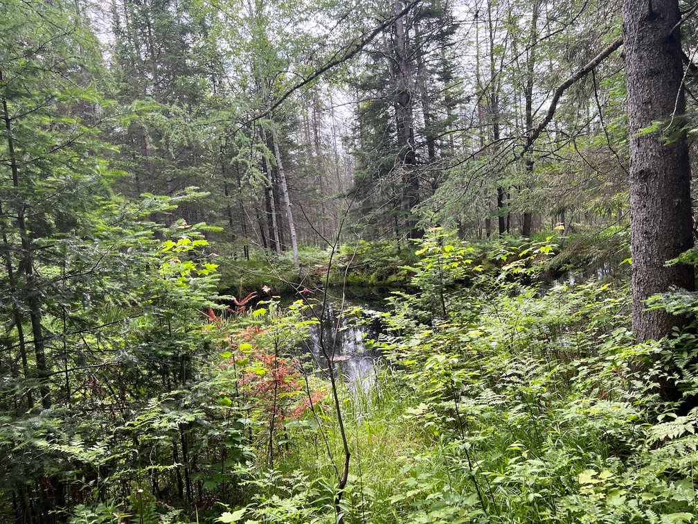 Image for Armstrong CreeK,  WI ** Home & 112 Acres Sold $453,200