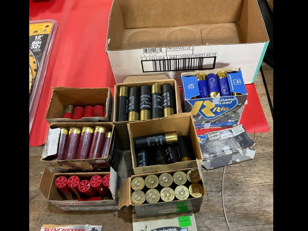 12 gauge ammo