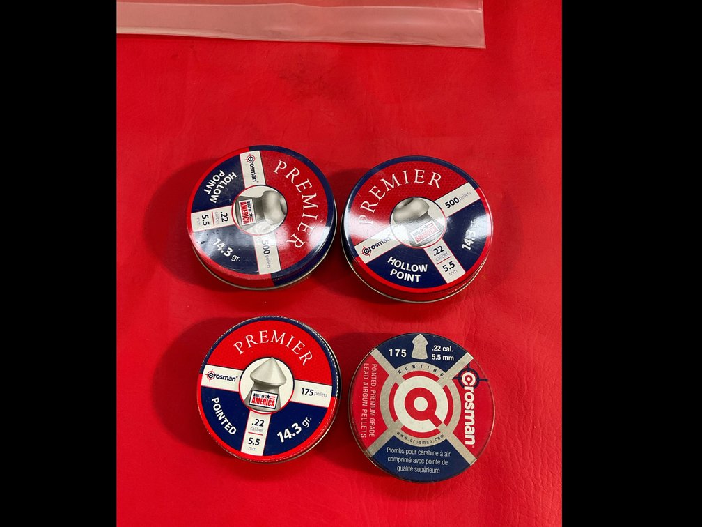 22 Cal pellets