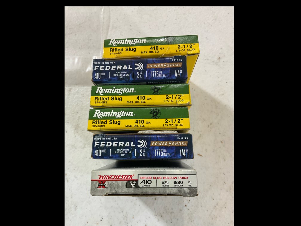 410 gauge slugs