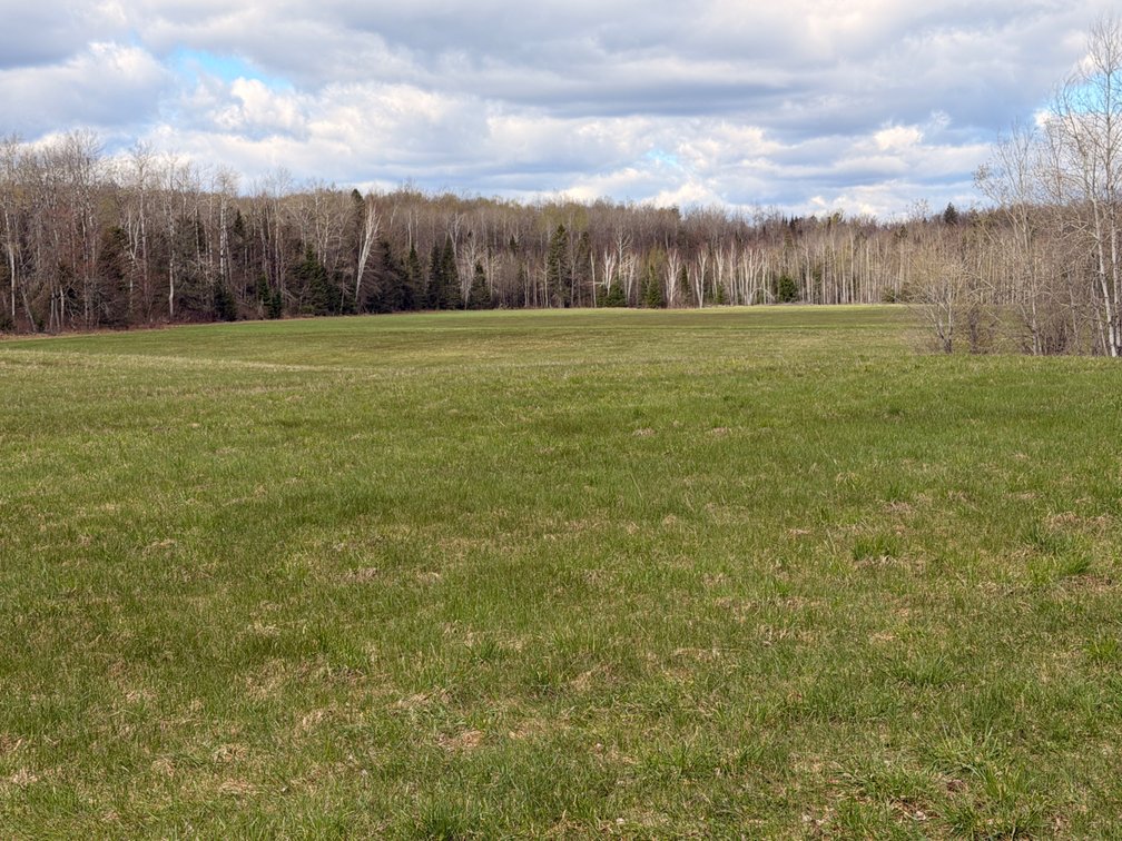 Image for Armstrong Creek, WI  60  Acres Brings $484,000 @ Live Auction!