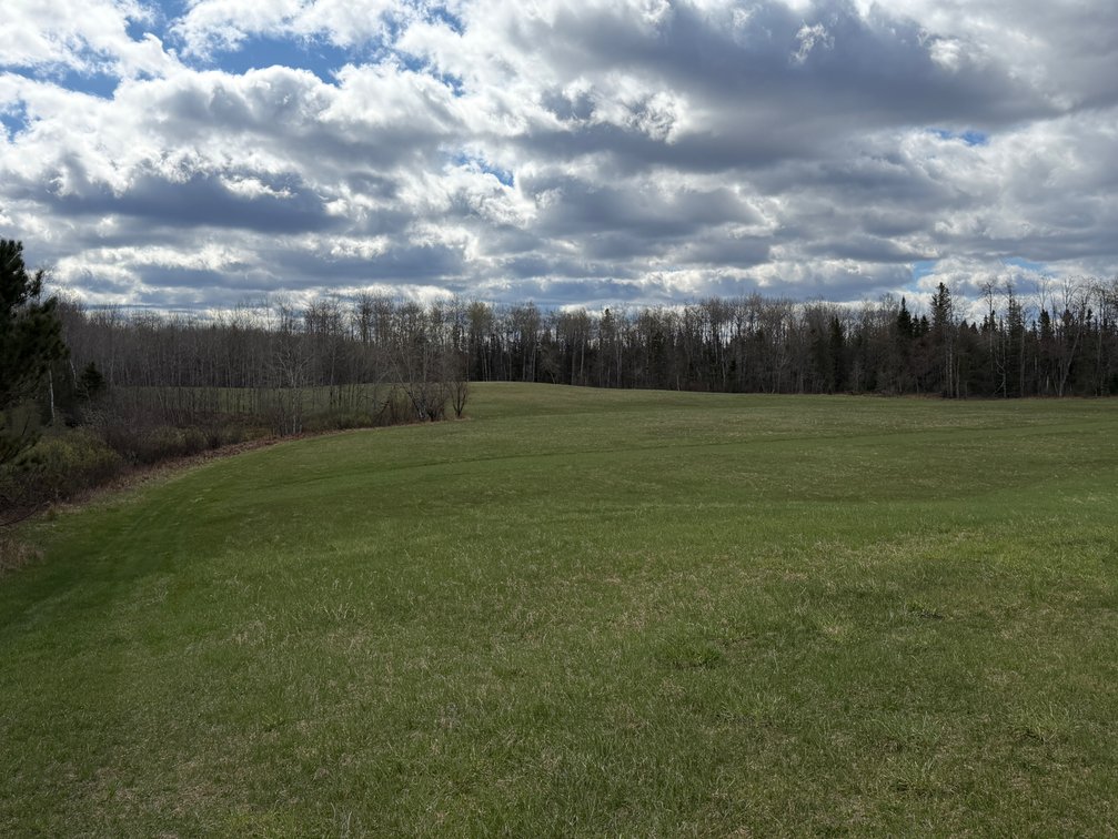 Image for Armstrong Creek, WI  60  Acres Brings $484,000 @ Live Auction!