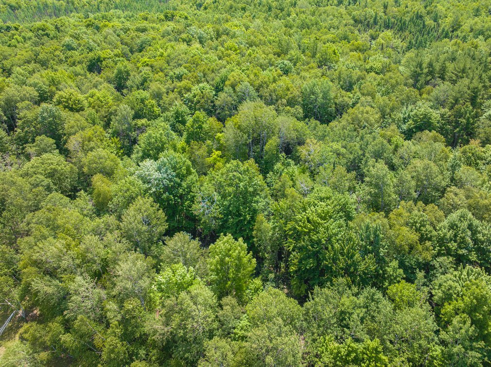 Image for Pelican Lake, WI **** Home & Barndominium w/ 80 Acres Being Sold To The Highest Bidder!