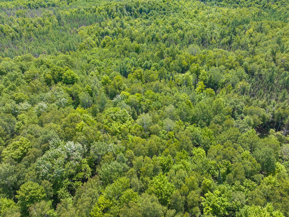 Image for Pelican Lake, WI **** Home & Barndominium w/ 80 Acres Being Sold To The Highest Bidder!