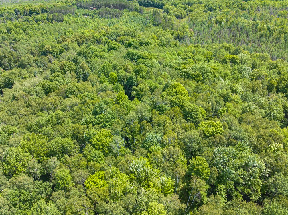Image for Pelican Lake, WI **** Home & Barndominium w/ 80 Acres Being Sold To The Highest Bidder!