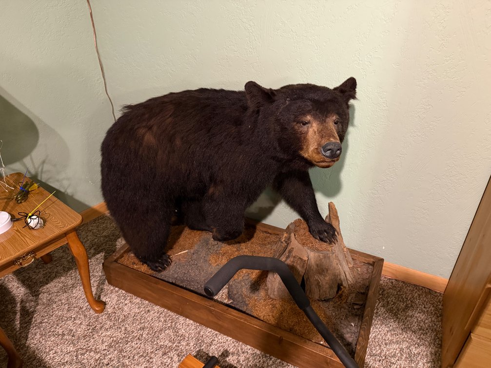 Image for Sept. 13 *** Three Lakes, WI *** SUV, Motorcycles, Sorting Goods, Home Contents & more! Live Auction!