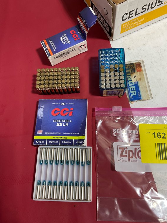 Miscellaneous 22 ammo