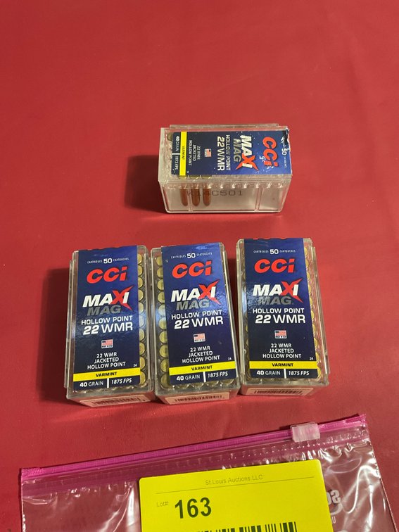 22 Magnum ammo