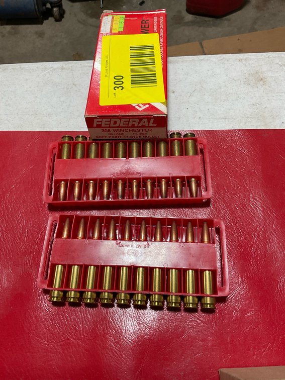 308 ammo