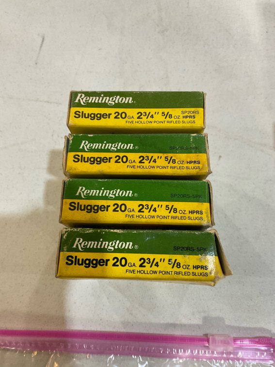 20 gauge slugs