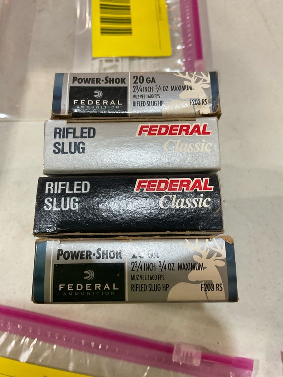 20 gauge slugs