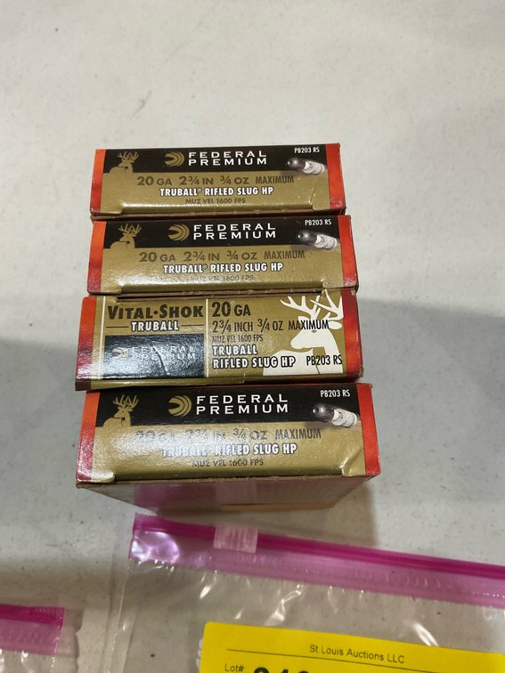 20 gauge slugs