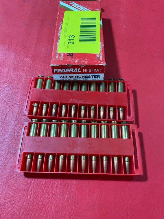 243 ammo