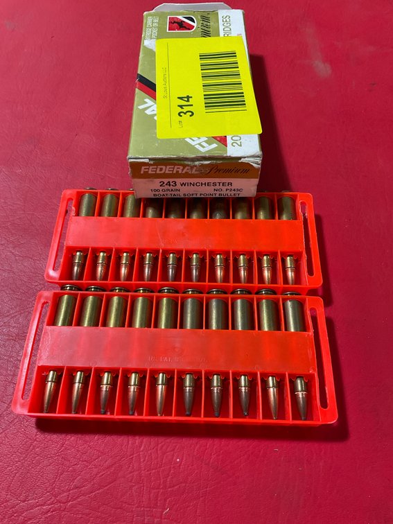 243 ammo
