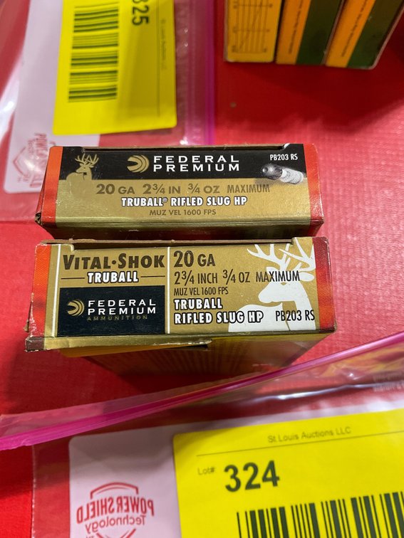 20 gauge slugs