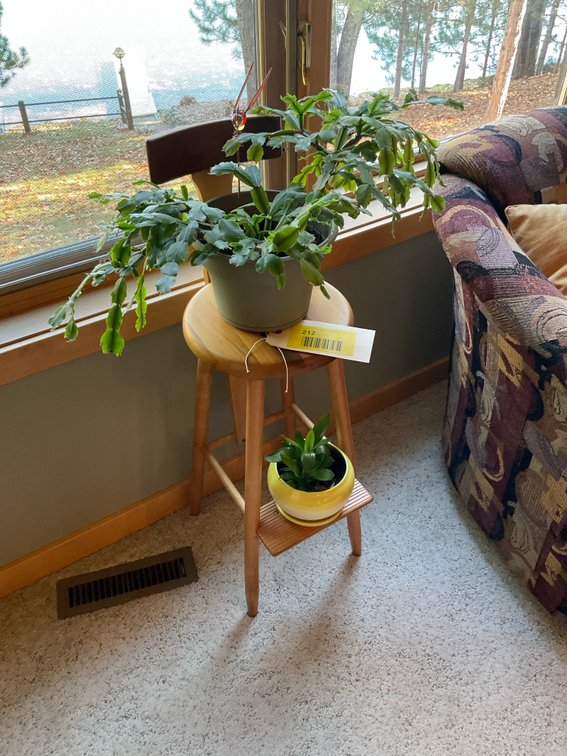 Stool plant stand