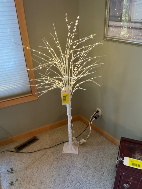 Lighted birch tree