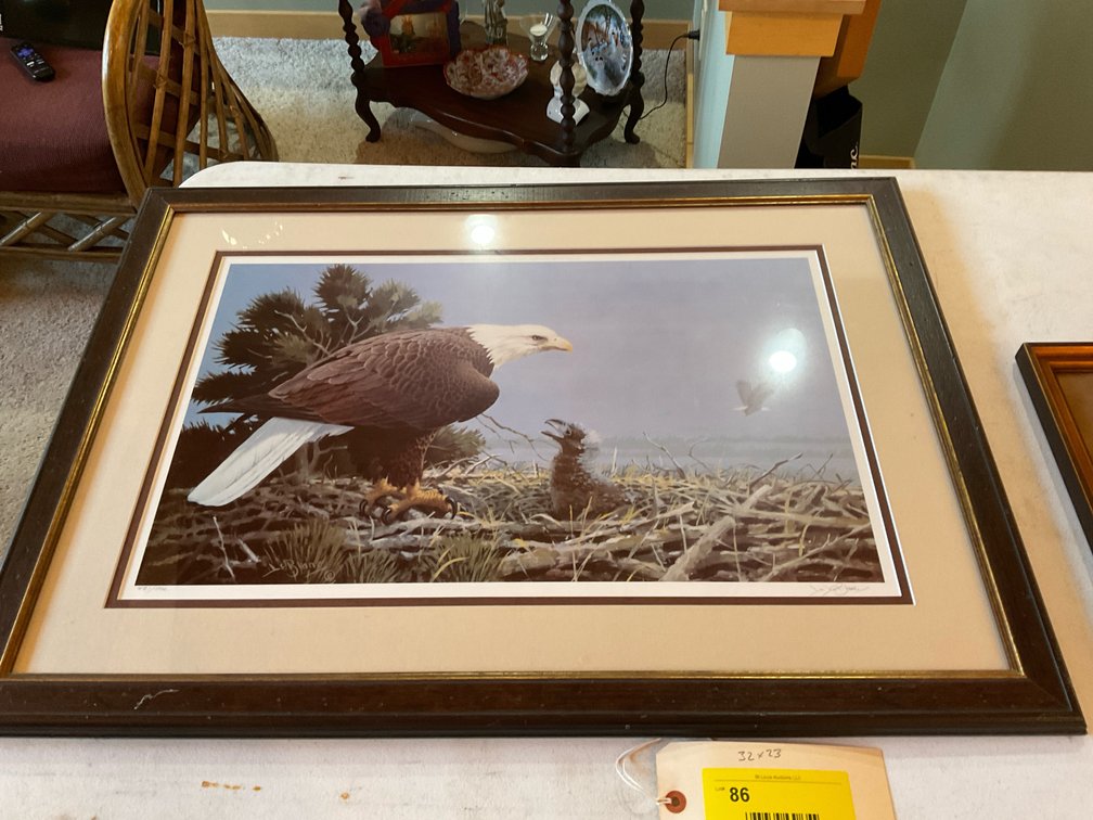 Beautiful eagle print