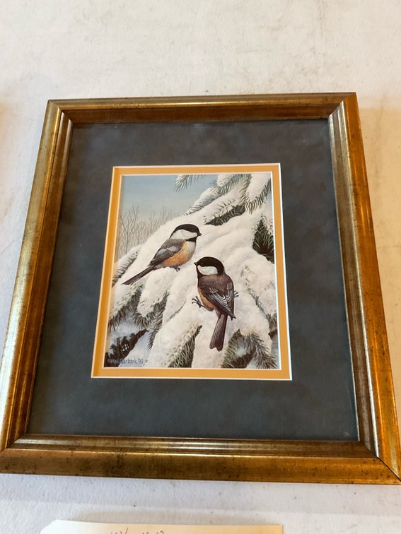 Beautiful chickadee print