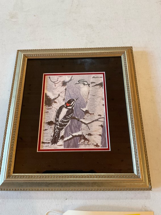 Beautiful woodpecker print