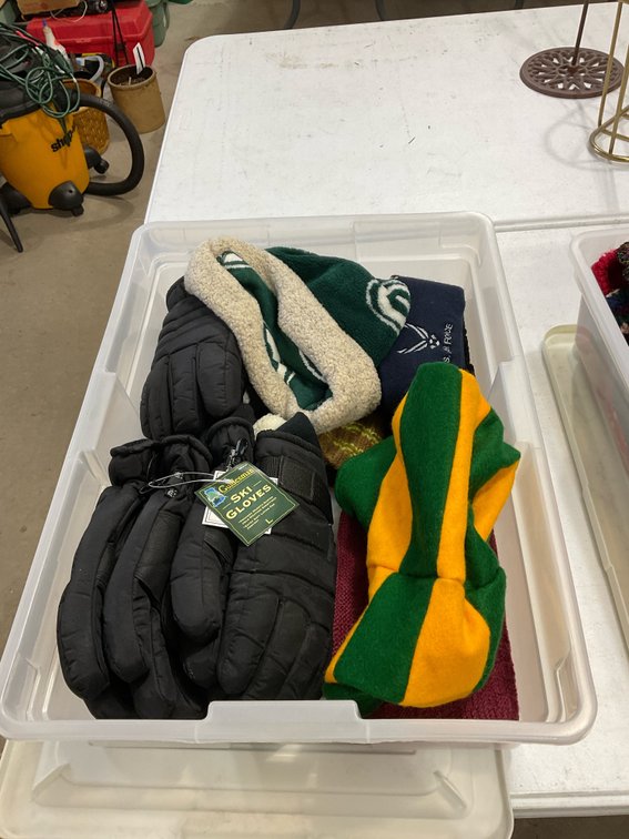 Miscellaneous hats and gloves