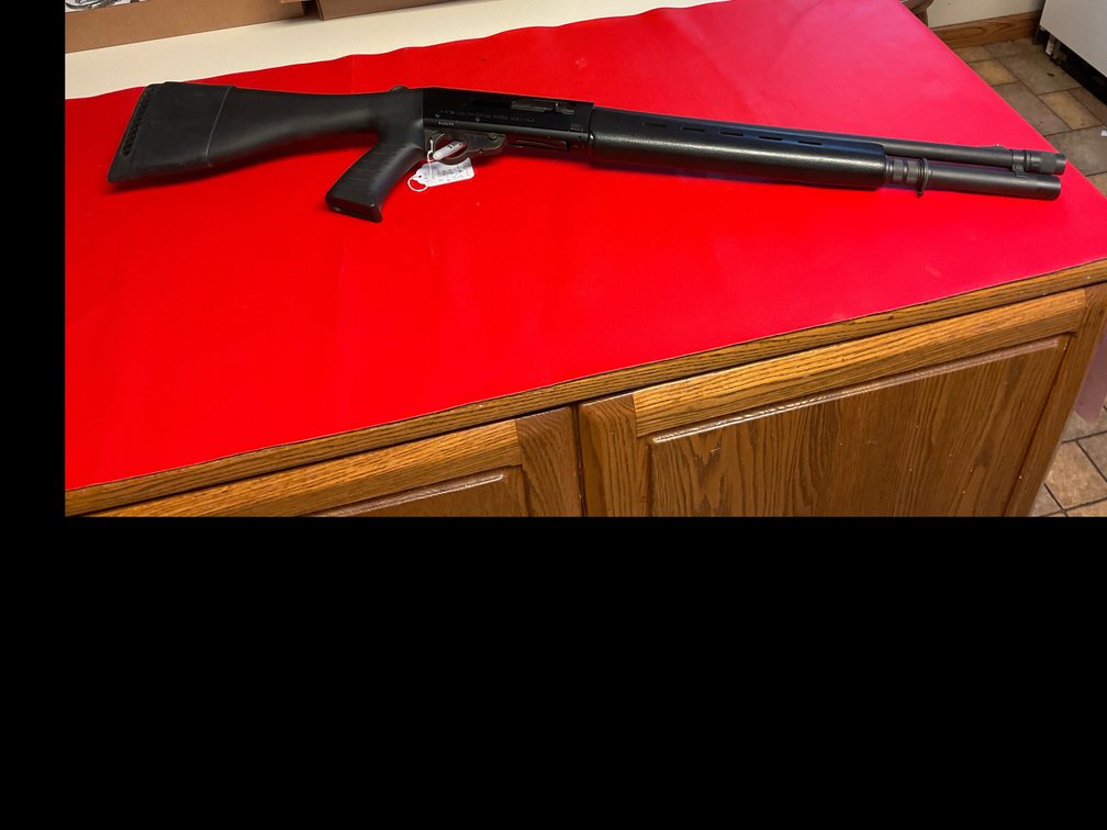 12 ga shotgun