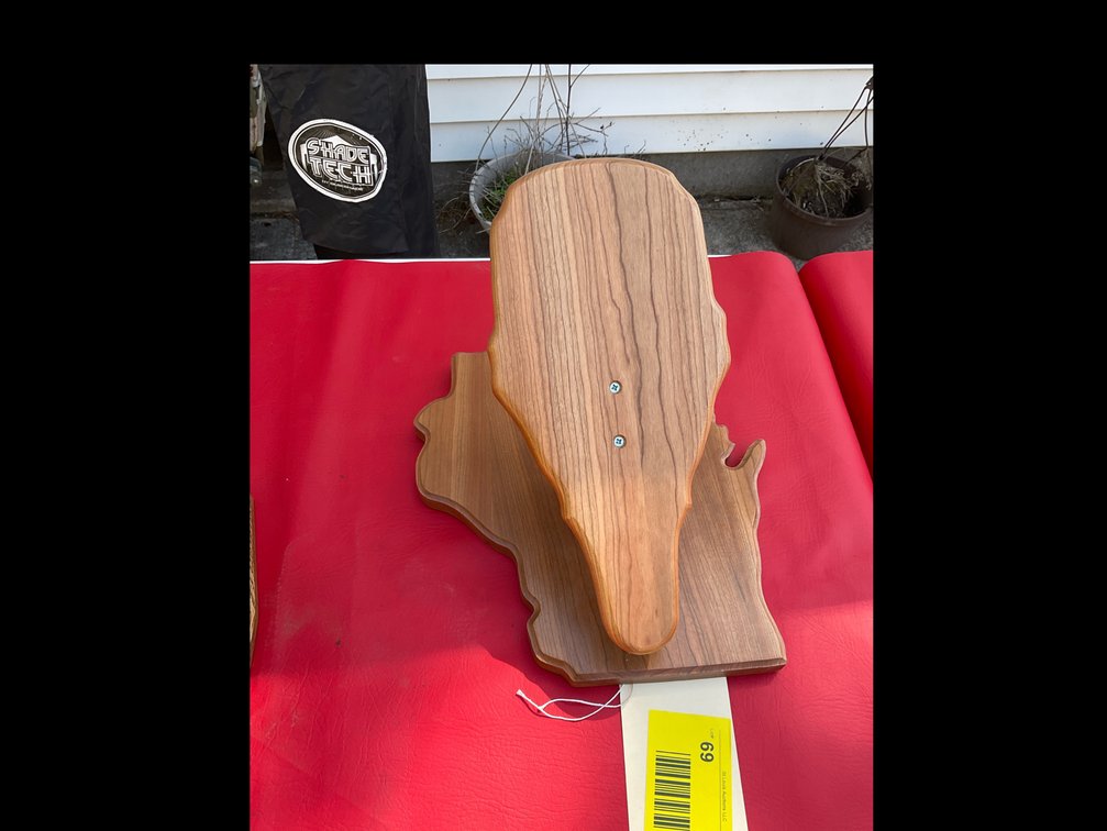 Wisconsin skull mount base