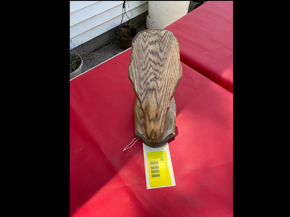 Wisconsin skull mount base