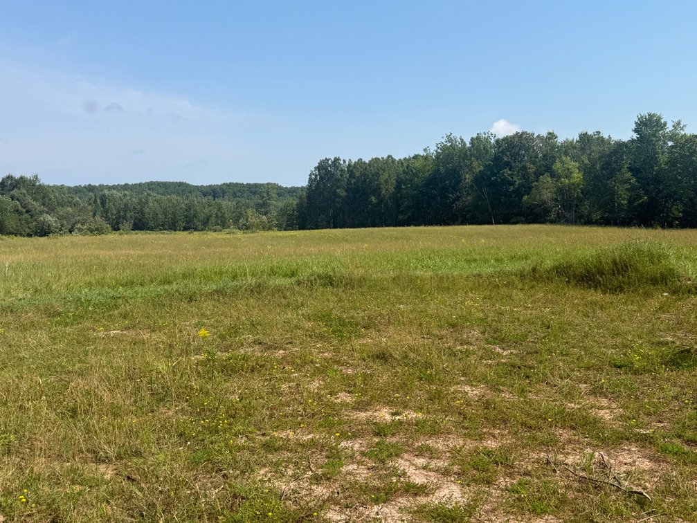 Image for Sold, Sold, Sold, Sold,***Florence,  WI *** Sept 6, 2025 *** 40 +/- Acres & Home/Barn - Being Sold To The Highest Bidder! Court Ordered!