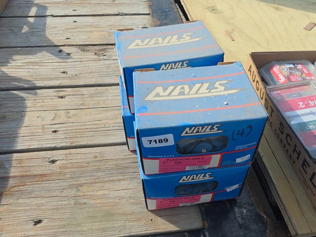 (4) 1" PLASTICAP NAILS