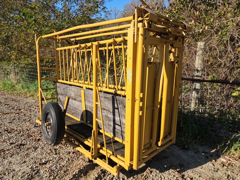 WORKING CATTLE CHUTE W/ HEAD GATE & TRANSPORT
