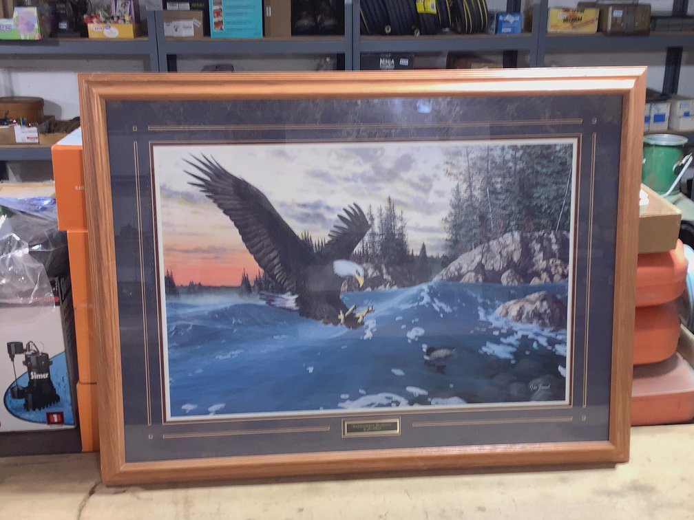 “ENDANGERED MOMENTS” by JIM HANSEL- CLEAN!- BEAUTIFUL.