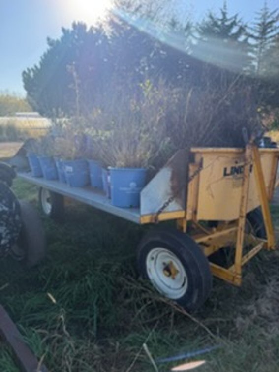 LINDIG TC1048 SOIL SHREDDER