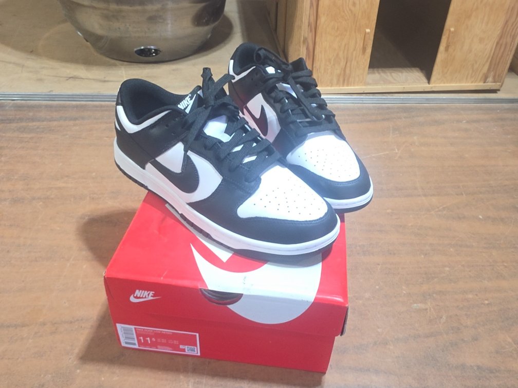 NEW MENS 11.5 NIKE DUNK LOW RETRO SHOES