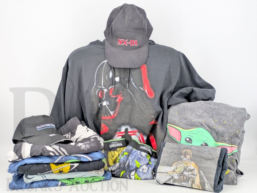 Star Wars and Star Trek Apparel and Hats Assortment, Hoodies, Shirts, Shorts, 2 Hats