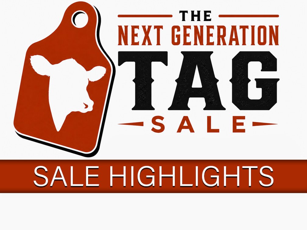 Sale Highlights
