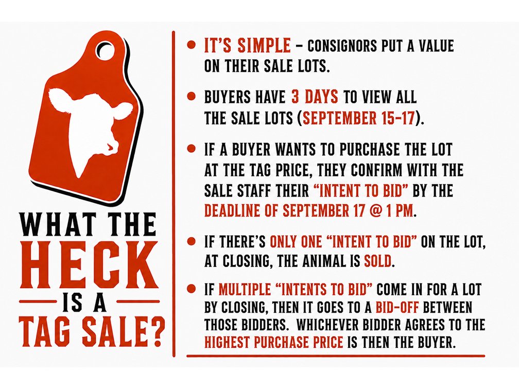 What the heck is a Tag Sale?