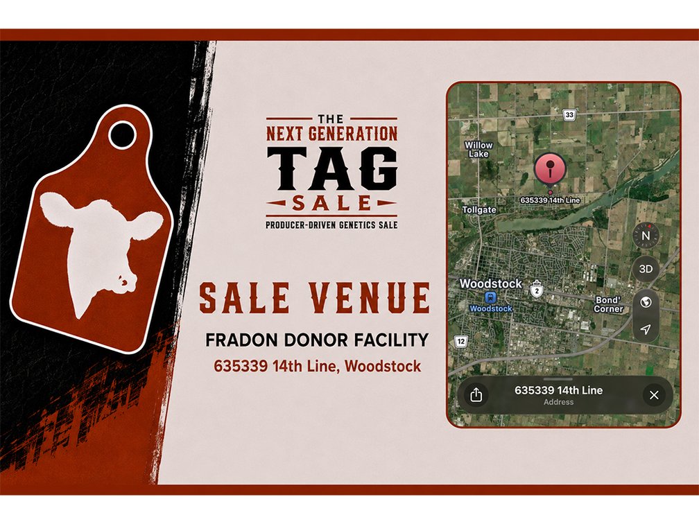 Sale Venue