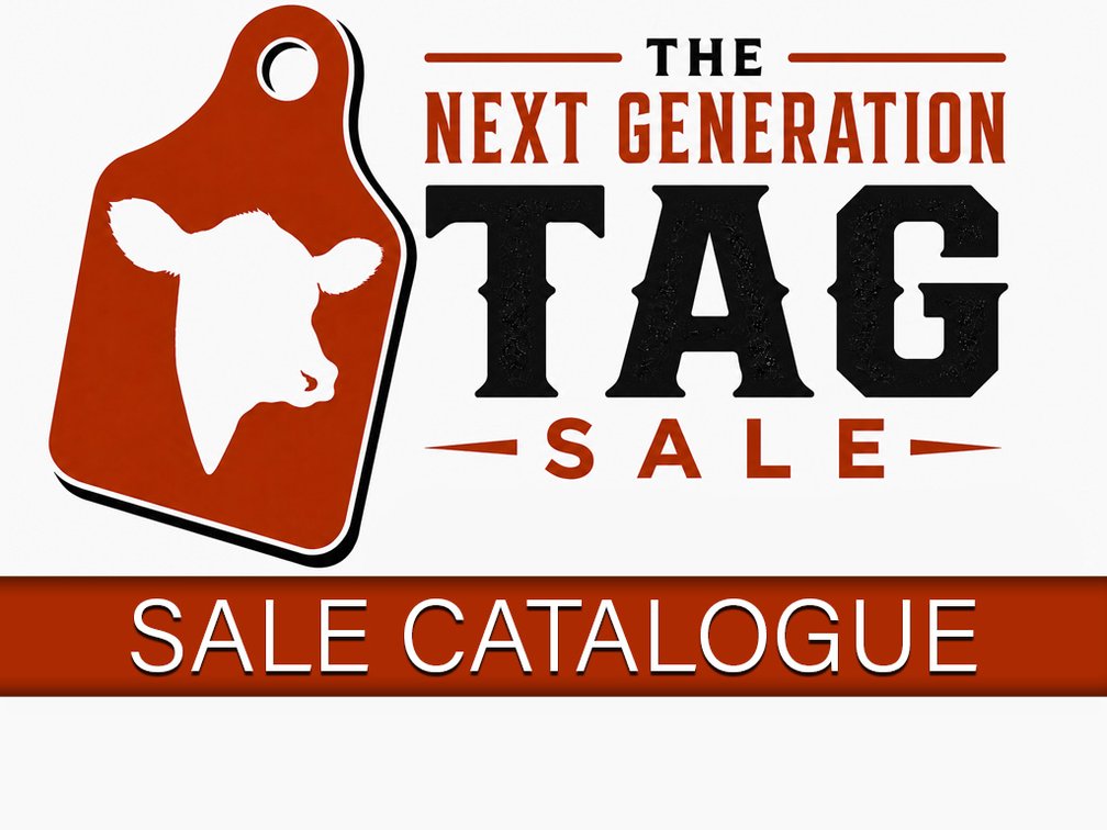 Sale Catalogue