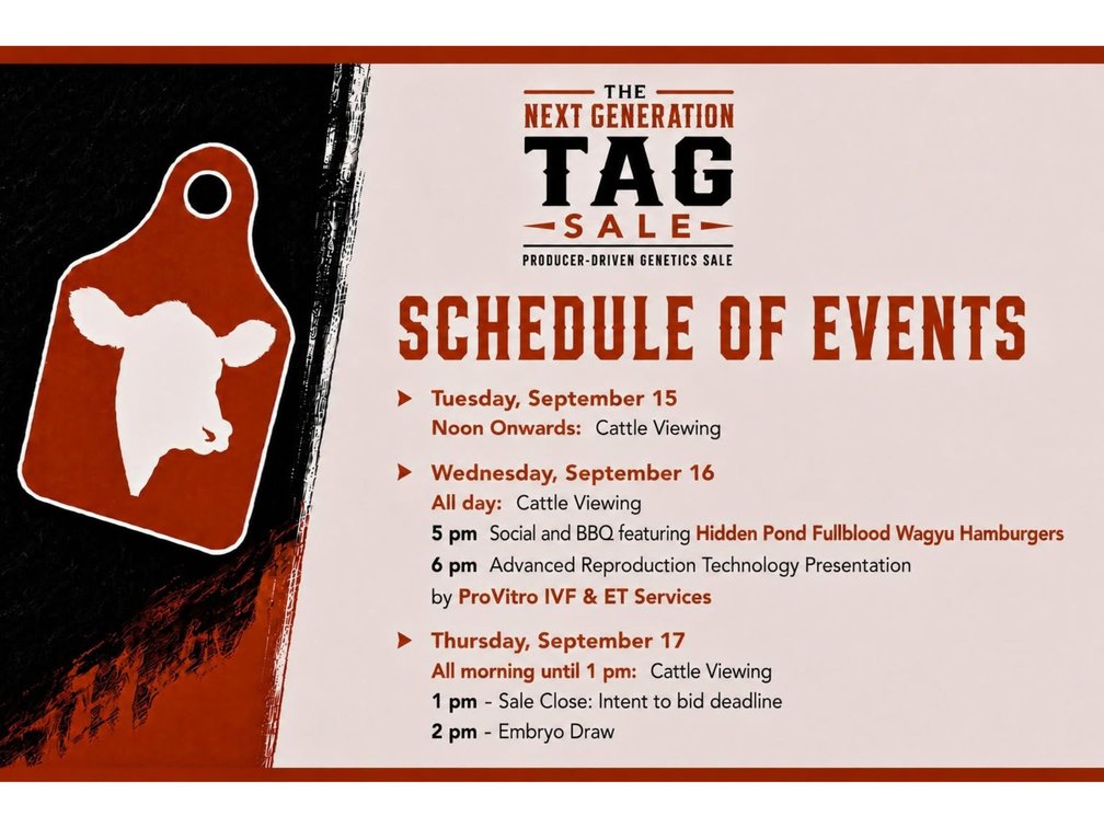 Schedule Of Events
