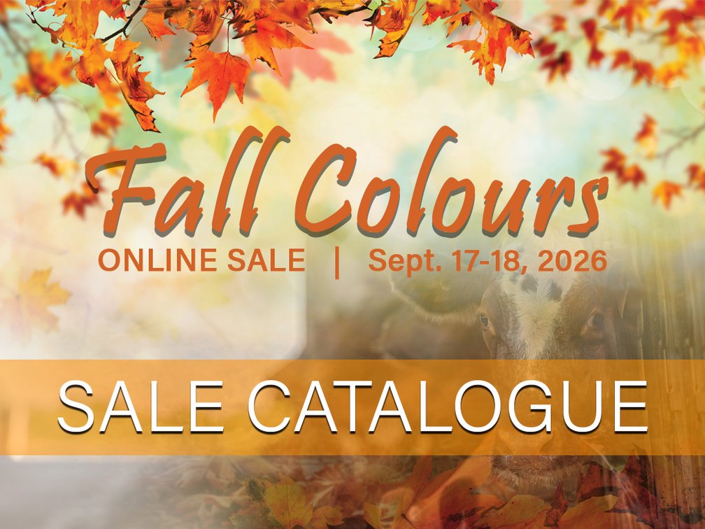 Sale Catalogue